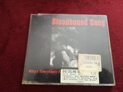 Bloodhound Gang - Why's Everybody Always Pickin' On Me?
