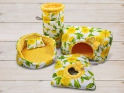 Zestaw dla gryzoni świnki morskiej 