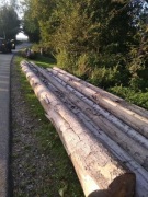 Drewno jodłowe dłużyce, kłody