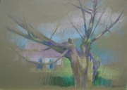 DRZEWO pejzaż pastel olejny 32,5x45cm 1999r