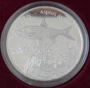 Srebrna moneta / numizmat BOLEŃ 1 oz uncja Ag 999. Czytaj opis