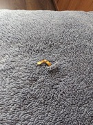 Czytnik linii papilarnych (przycisk Home) Samsung Galaxy S21+