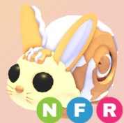 NFR Bunny Swirl "Adopt me" roblox
