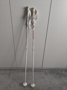 Kijki Narciarskie Męskie Rossignol 156