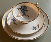 Filiżanka - Alboth & Kaiser Alka Kunst Arabella Trio Kubek kolekcjonerski