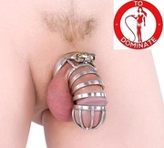 Pas Cnoty CB6000 Stalowy Metalowy klatka na penisa