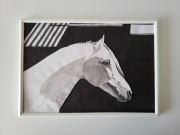 Obraz rysunek portret konia w ramce koń grafika