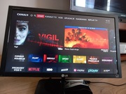 Monitor Full 23" HD LG Flatron E2381VR-BN