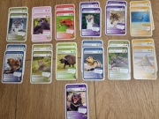 nr1 Karty Super zwierzaki podwójne MEMO/PIOTRUŚ