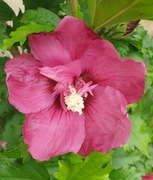 PRZEWODNIK PO LITERATURZE FILOZOFICZNEJ 5t Skarga KOMPLET 