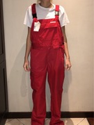 strój roboczy, ogrodniczki