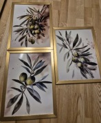 3 obrazy do kuchni jadalni w ramach gałązka oliwna