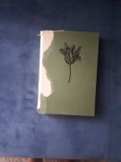 Encyklopedia malarstwa flamandzkiego i holendersk