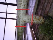 Trójnik rozdzielacz rury Rura stalowa fi 114mm 11,4cm element T 1 szt