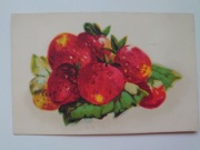 owoce, 4 pocztówki - lata 30. XXw  S.M.P. Kraków  "Akropol"