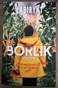 Labirynt - Piotr Borlik