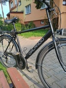 Rower trekkingowy Orlando Trekking M 28 rama 21 cali koło 28 " czarny