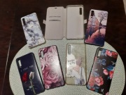 Case