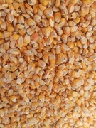 kukurydza sucha 25 kg 