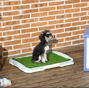  toaleta dla szczeniąt ze sztuczną  trawą 