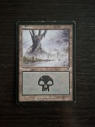Swamp. Magic The Gathering 