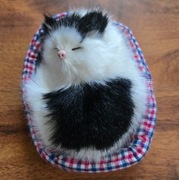 Maskotka śpiący kotek w kojcu miauczy real