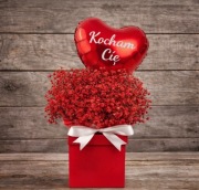 Flower box z gipsówką i balonem 