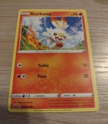 Pokemon tcg: Scorbunny 