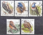 Belgia Fauna Ptaki 1
