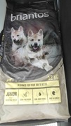 Briantos junior 12 kg