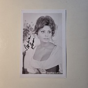 Zdjęcie z org. Autografem Sophie Loren | Sophia Loren - orginalny Autograf
