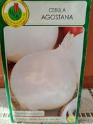 Cebula biała 'Agostana' nasiona 