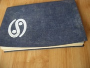 Jerzy Andrzejewski La volpe d'oro Złoty lis