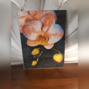 Obraz wykonany haftem diamentowym 