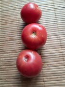 Nasiona pomidor Malinowy Ożarowski min. 10szt.