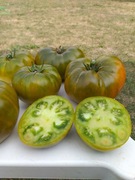 Emerald Apple pomidor kolekcjonerski