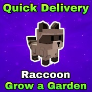 RACCOON | GROW A GARDEN | *TANIO*