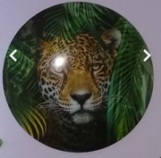 Świetny szklany obraz 