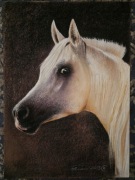 Portret konia. Pastele 50x70 cm
