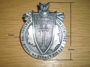 Medal Grunwald Berlin