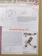 Aviatik-Berg D.I  KEL 1/50