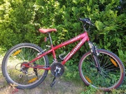 rower Author Matrix , koła 24 cale