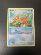 Buizel Pokemon Diament i Perła TCG polska karta