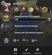 Konto cs2 prime 3 453h 10 medali 13 lvl stim 12 letnie 100zł eq + faceit