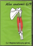Atlas anatomii GIF cz.1 Mięśnie kończyny górnej na DVD