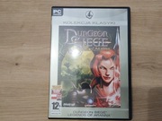 Dungeon Siege Legend of Aranna PL