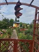 Działka OKAZJA TANIO