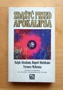 R. Abraham, R. Sheldrake - Zdążyć przed apokalipsą