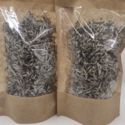 Pięciornik gęsi suszony 28 g