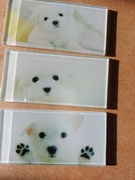 Mozaika szklana prostokąty 4,5x9,8cm nadruk na szkle BIAŁY SZCZENIACZEK